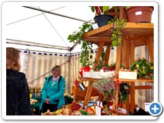 Ausstellung 2022_09 Imkerin Stefanie Kröger im Gespräch